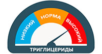 Высокий уровень триглицеридов: что это значит (причины повышенного уровня)